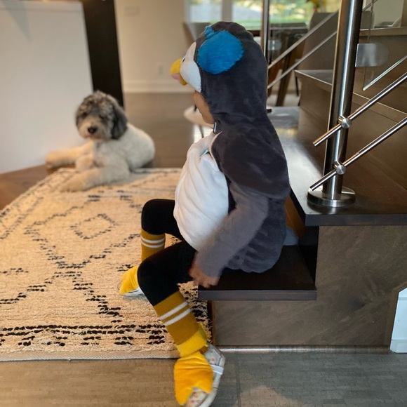 Penguin costume - Picture 9 of 11